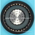 Middle Voltage Mv 11kv Aluminum Conductor XLPE Insulated Copper Wire Shield Power Cable